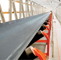 Receiving Tripper Conveyors